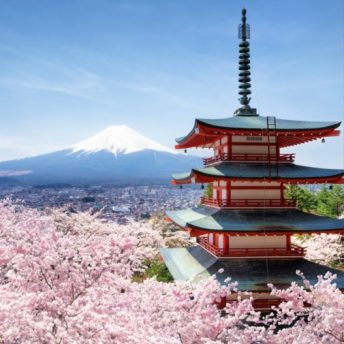 Backdrop - Pagoda and Mt Fuji