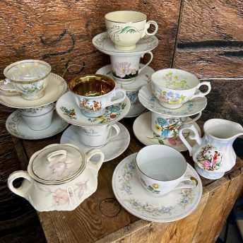 Teacups - Multi-color