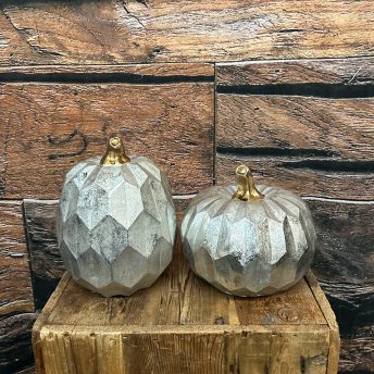 Pumpkin - Silver Geometric