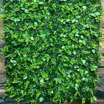 Backdrop - Lush Foliage