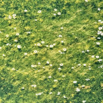 Floor Mat - Grass with Daisies