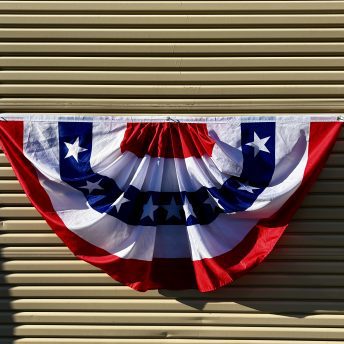 Bunting - USA