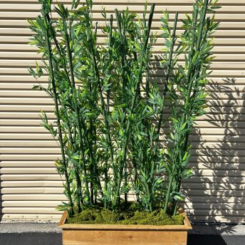 Bamboo Arrangement