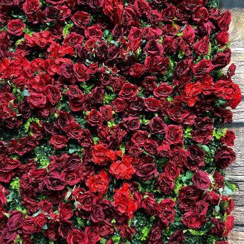 Backdrop - Red Rose - 8x8