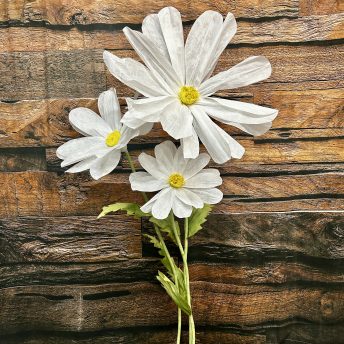 Giant Paper Daisy - set of 3