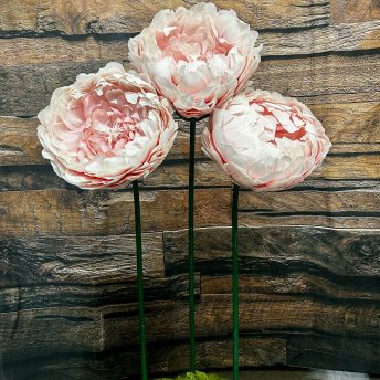 Giant Paper Peony - Light Pink - set of 3