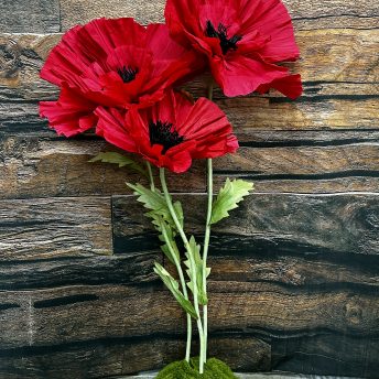 Giant Paper Poppy - set of 3