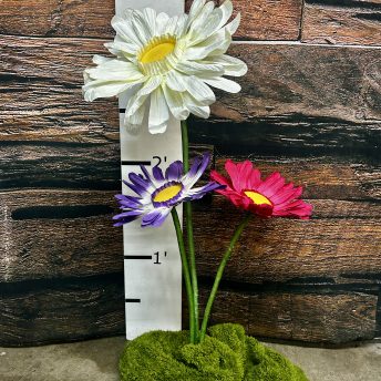Large Paper Gerbera Daisy - set of 3
