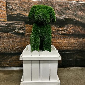 Topiary - Dog