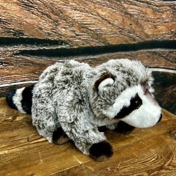 Raccoon
