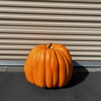Pumpkin - Giant